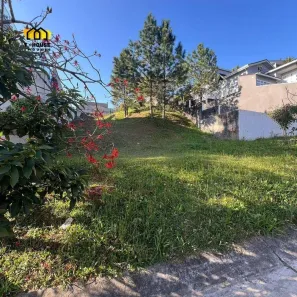 Lote/Terreno à venda, 490m² no Parque Terra Nova II, São Bernardo do Campo