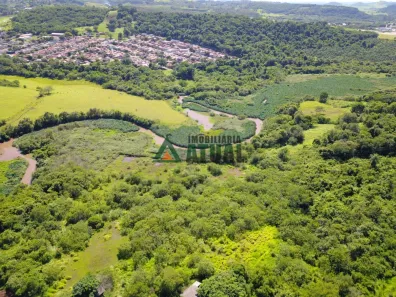 Fazenda/Sítio à venda, 20000m² no Conjunto Cafezal 1, Londrina