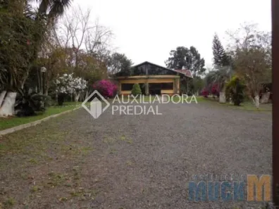 Fazenda/Sítio para alugar, 10000m² no , Nova Santa Rita