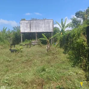 Lote/Terreno à venda, 300m² no Barra Seca, Ubatuba