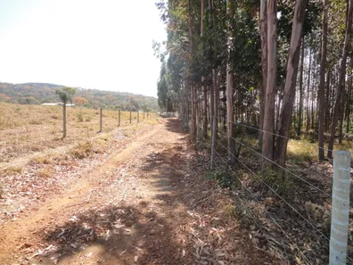 Fazenda/Sítio com 2 Quartos à venda, 620m² no , Francisco Dumont