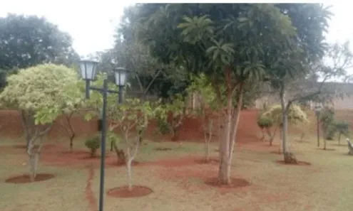 Casa de Condomínio com 3 Quartos à venda, 170m² no Betel, Paulínia