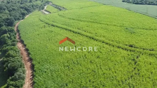 Fazenda/Sítio com 5 Quartos à venda, 1000m² no Centro, Avaré