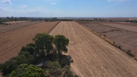 Fazenda/Sítio à venda, 100000m² no Arapoanga, Brasília