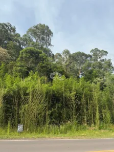 Lote/Terreno à venda, 555m² no Peterlongo, Garibaldi