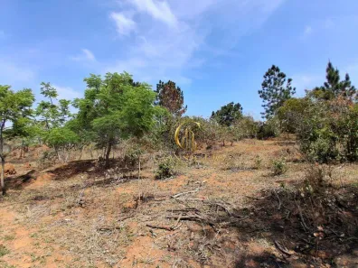 Lote/Terreno à venda, 21722m² no Jardim Torrão de Ouro, São José dos Campos