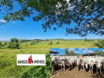 Fazenda/Sítio com 1 Quarto à venda, 2516800m² no Centro, Araruama