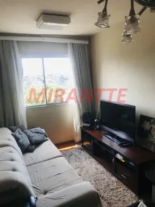 Apartamento com 2 Quartos à venda, 52m² no Vila Basileia, São Paulo