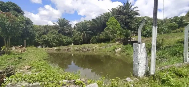 Fazenda/Sítio à venda, 50000m² no Centro, Conde