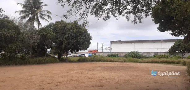 Lote/Terreno para alugar, 6000m² no Campina de Feira, Igarassu