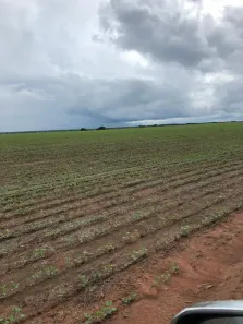 com 3 Quartos à venda, 450m² no , Mundo Novo