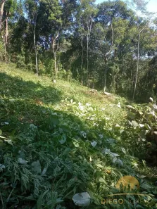 Lote/Terreno à venda, 2713m² no Pirucaia, Mairiporã