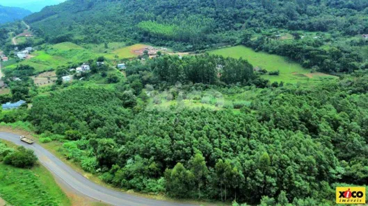 Fazenda/Sítio com 1 Quarto à venda, 5000m² no Centro, Linha Nova