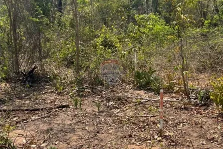 Fazenda/Sítio com 1 Quarto à venda, 1200m² no Área Rural de Rondonópolis, Rondonópolis