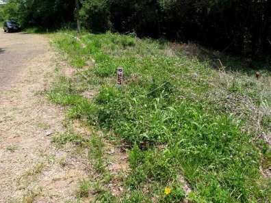 Lote/Terreno à venda, 450m² no São Lucas, Viamão