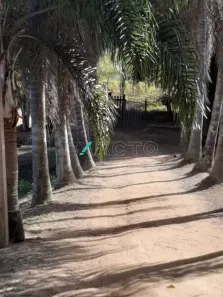 Fazenda/Sítio com 3 Quartos à venda, 120m² no Centro, Socorro