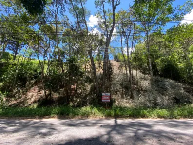 Lote/Terreno com 1 Quarto à venda, 2000m² no Braunes, Nova Friburgo