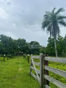 Fazenda/Sítio à venda, 400000m² no Rural, Nossa Senhora do Livramento