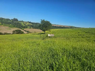 Fazenda/Sítio com 8 Quartos à venda, 31m² no Vila Santa Rosa, Apucarana