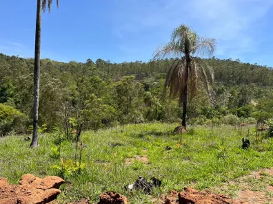 Lote/Terreno à venda, 600m² no Caraguatá, Mairiporã