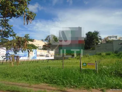 Lote/Terreno com 1 Quarto para alugar, 875m² no Lídice, Uberlândia