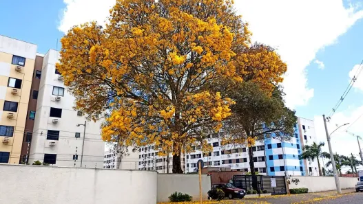 Apartamento com 2 Quartos para alugar, 53m² no Passagem de Areia, Parnamirim