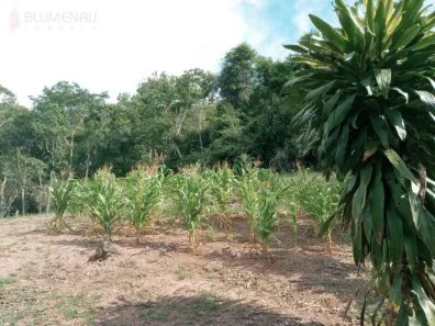 Lote/Terreno à venda, 3143m² no Tribess, Blumenau