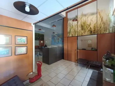 Ponto Comercial para alugar, 200m² no Nova Aliança, Ribeirão Preto