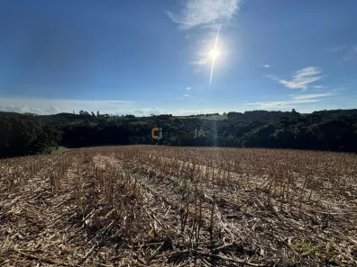 Lote/Terreno com 1 Quarto à venda, 84985m² no Colônia Balbino Cunha, Campo Largo