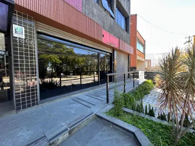 Ponto Comercial para alugar, 280m² no Vila Romana, São Paulo