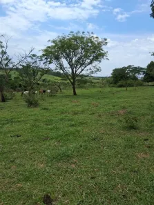 Fazenda/Sítio com 1 Quarto à venda, 121000m² no , Cássia dos Coqueiros