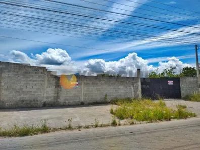 Lote/Terreno para alugar, 1000m² no Praia das Palmeiras, Caraguatatuba