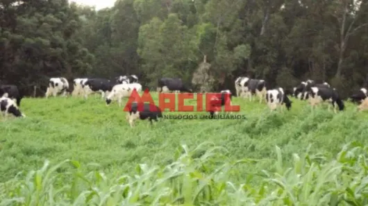 Fazenda/Sítio à venda, 350m² no , Monteiro Lobato