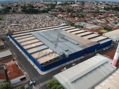 Galpão/Depósito/Armazém para alugar, 10000m² no Centro, Mirassol