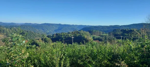 Lote/Terreno à venda, 40000m² no Quatro Cantos, Picada Café