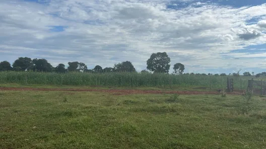 Fazenda/Sítio à venda, 28175000m² no Jardim Nova Água Clara, Água Clara