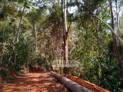Fazenda/Sítio à venda, 4560000m² no , Santa Maria Madalena