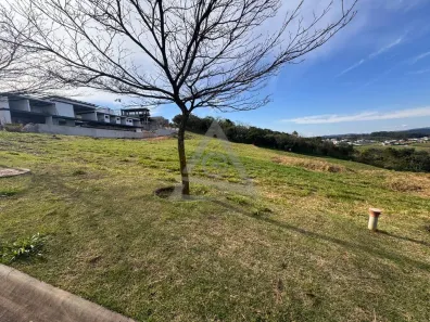 Lote/Terreno à venda, 1423m² no Loteamento Residencial Entre Verdes (Sousas), Campinas