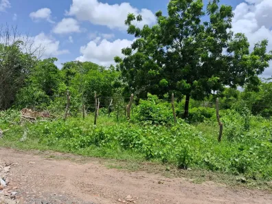 Lote/Terreno à venda, 720m² no Campo Grande, Caucaia