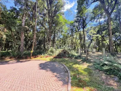 Lote/Terreno à venda, 649m² no Bosque Sinoserra, Canela