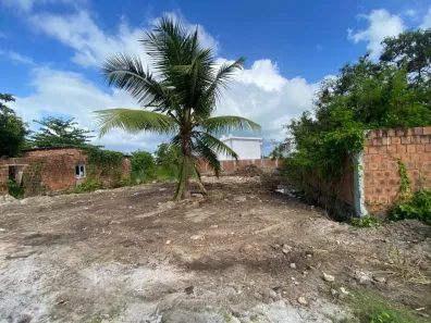 Lote/Terreno à venda, 420m² no Candeias, Jaboatão dos Guararapes