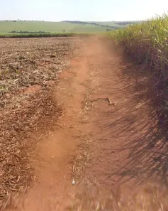 Fazenda/Sítio à venda, 217800m² no , Santa Inês