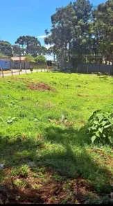 Lote/Terreno à venda, 817m² no Gralha Azul, Fazenda Rio Grande