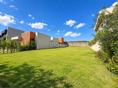 Lote/Terreno à venda, 250m² no Gleba Simon Frazer, Londrina