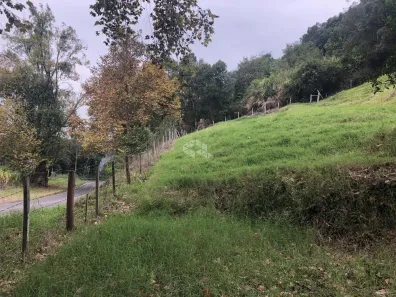Lote/Terreno à venda, 11000m² no Nova Petrópolis, Nova Petrópolis