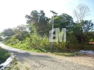 para alugar, 2500m² no Morros, Teresina