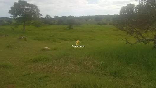 Fazenda/Sítio com 2 Quartos à venda, 60m² no , Lagoa do Tocantins