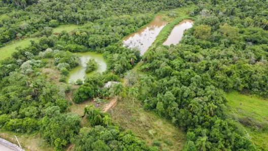Fazenda/Sítio à venda, 30000m² no Localidade de 48 baixa, Lindolfo Collor