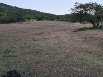 Fazenda/Sítio com 3 Quartos à venda, 50000m² no Palmeira de Fora, Palmeira dos Índios
