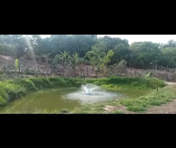 com 1 Quarto à venda, 23750m² no Área Rural de Bofete, Bofete